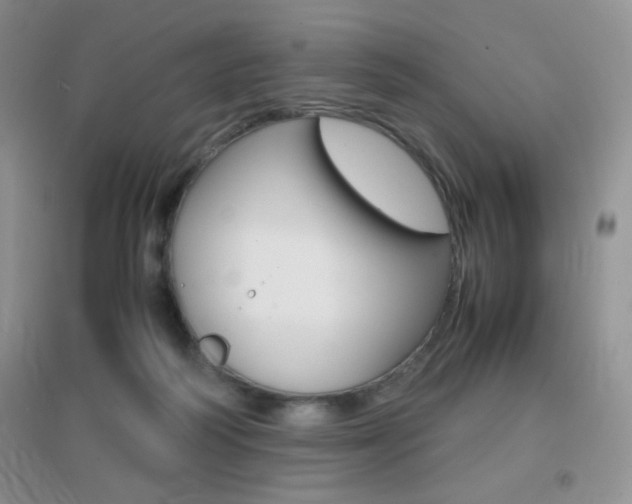 X0000096940218200802080905