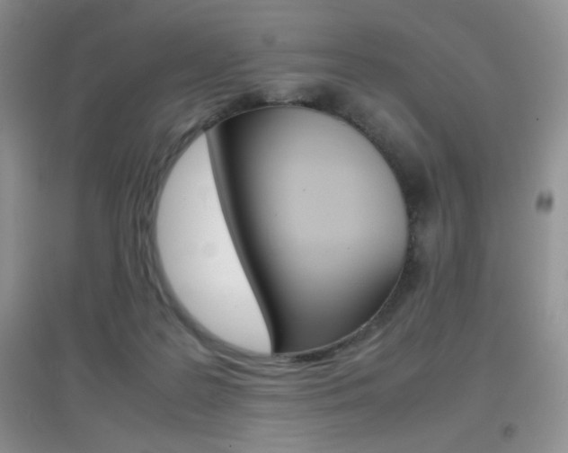 X0000096940219200802080905