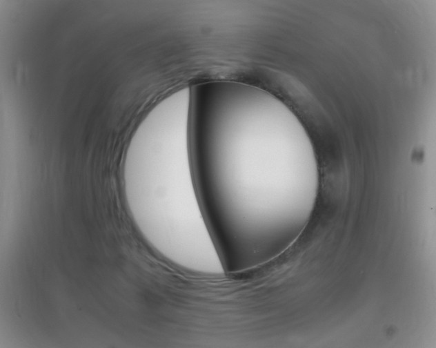X0000096940221200802080905