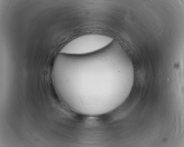 X0000096940222200802080905