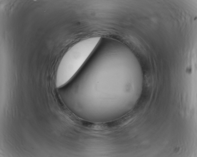 X0000096940223200802080905
