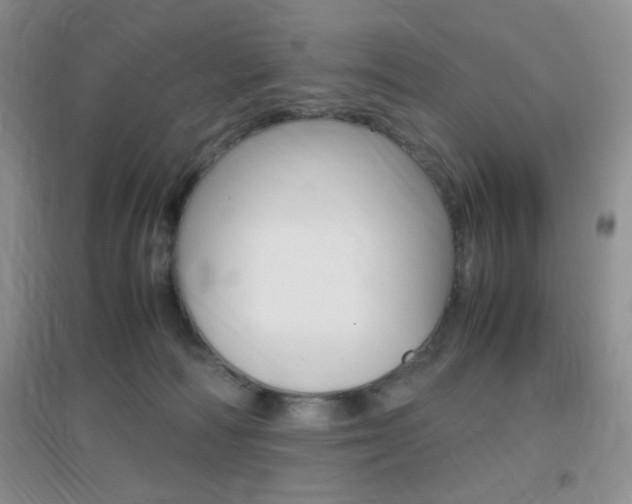 X0000096940226200802080905