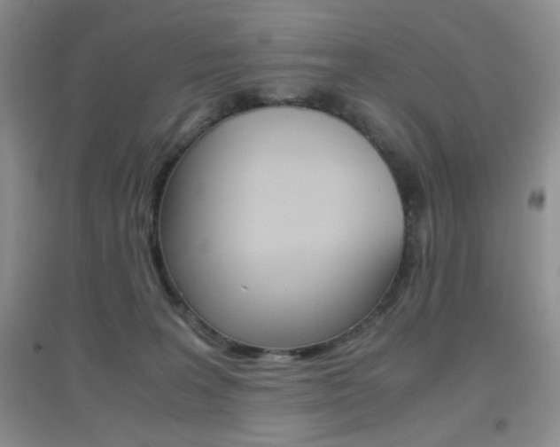 X0000096940227200802080905