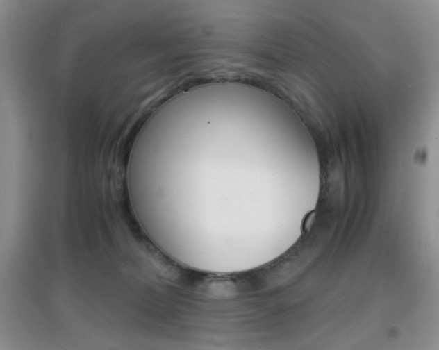 X0000096940228200802080905
