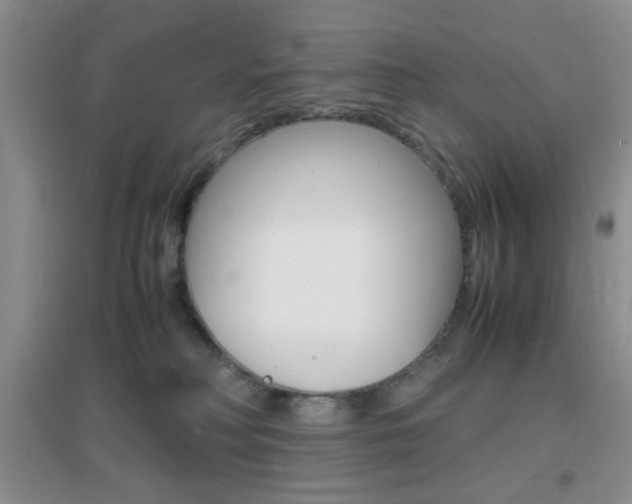 X0000096940230200802080905