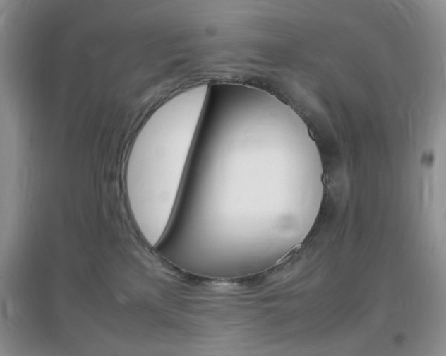 X0000096940233200802080905