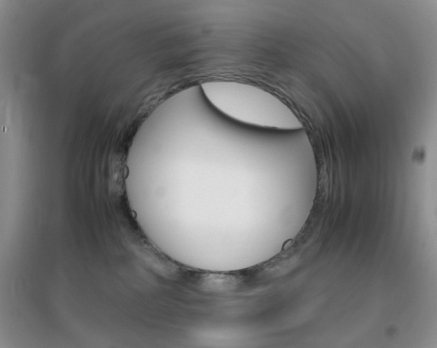 X0000096940234200802080905
