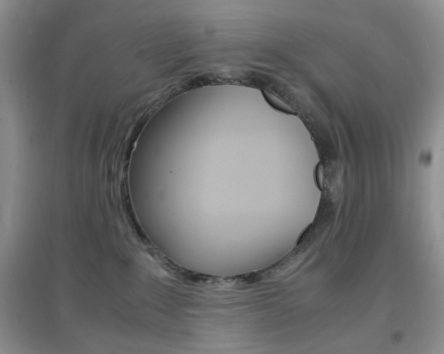 X0000096940235200802080905