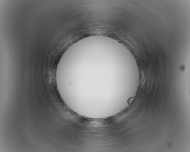 X0000096940236200802080905