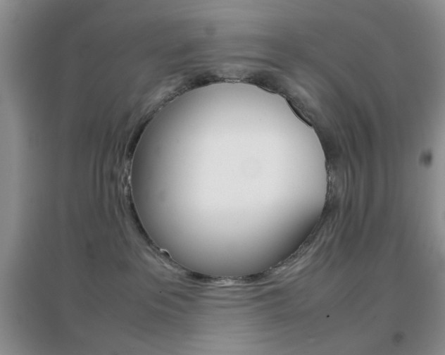 X0000096940237200802080905