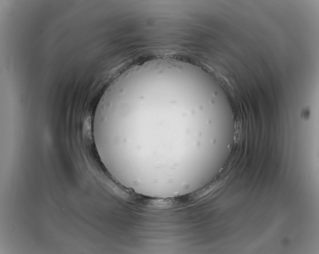 X0000096940238200802080905