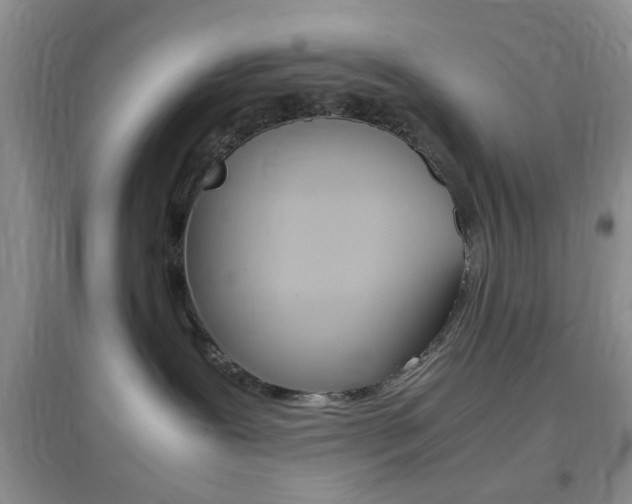 X0000096940239200802080905