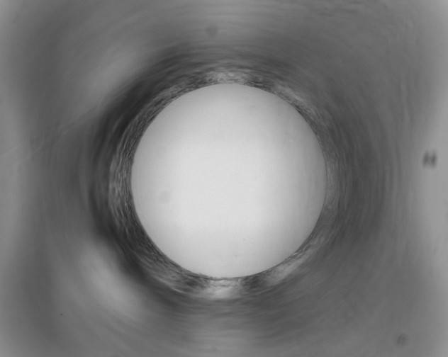 X0000096940240200802080905