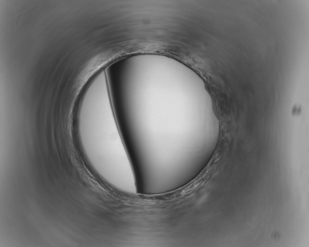 X0000096940242200802080905