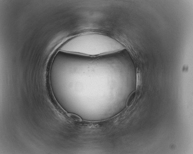 X0000096940243200802080905
