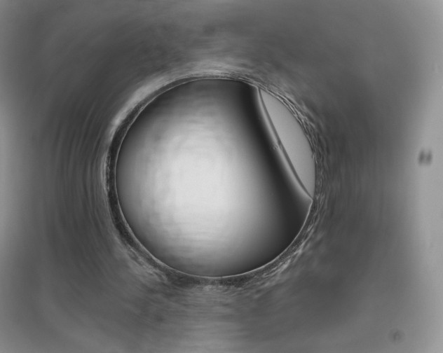 X0000096940244200802080905