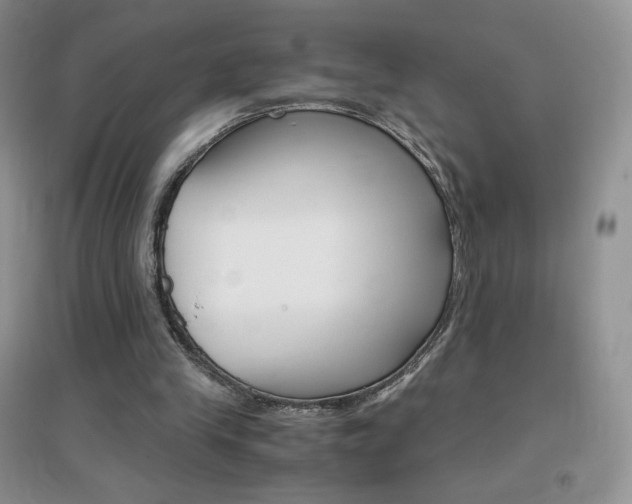 X0000096940245200802080905