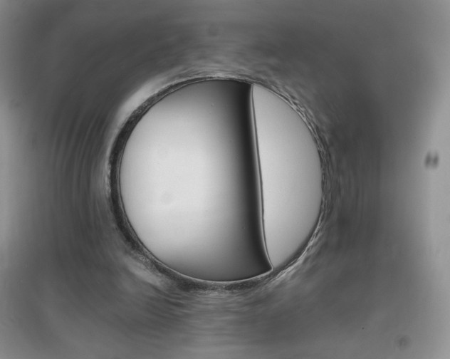 X0000096940246200802080905