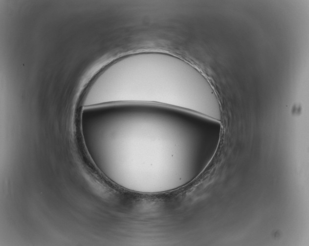X0000096940248200802080905