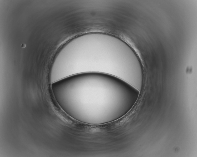 X0000096940249200802080905