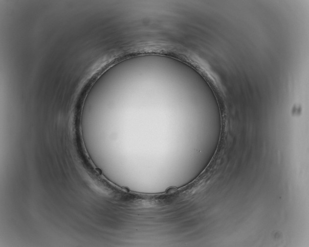 X0000096940250200802080905