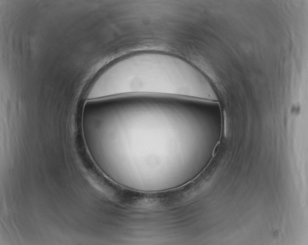 X0000096940252200802080905