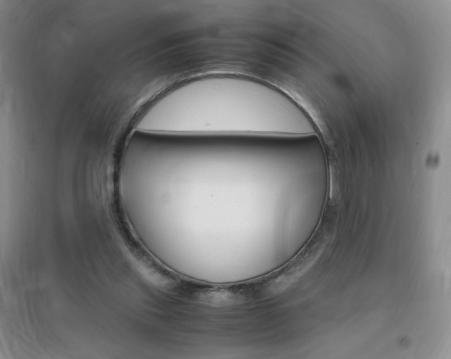 X0000096940253200802080905