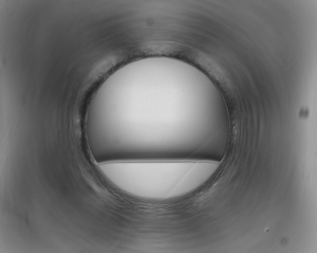X0000096940254200802080905