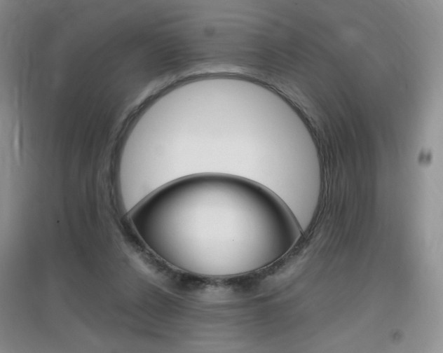 X0000096940256200802080905