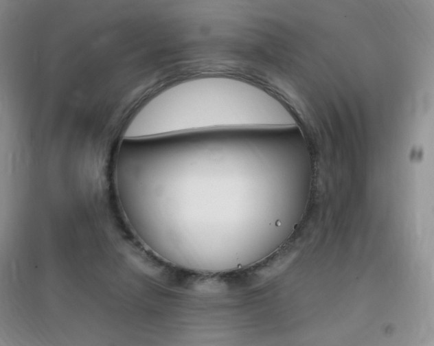 X0000096940258200802080905