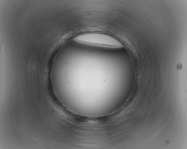 X0000096940260200802080905