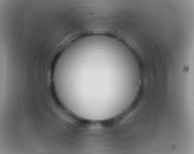 X0000096940262200802080905