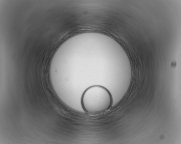 X0000096940264200802080905