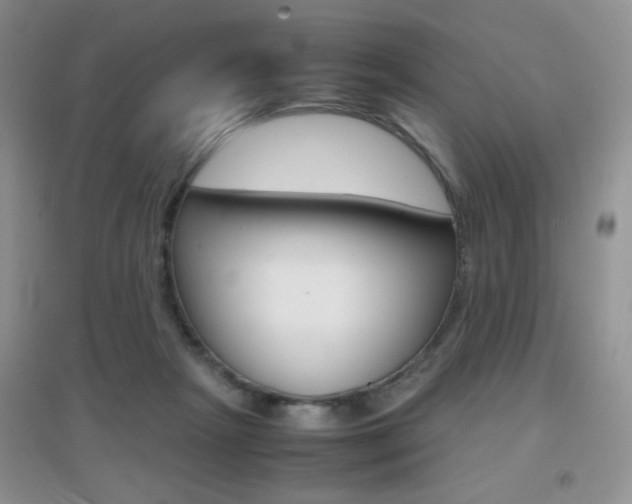 X0000096940265200802080905