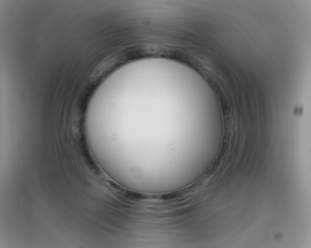 X0000096940266200802080905