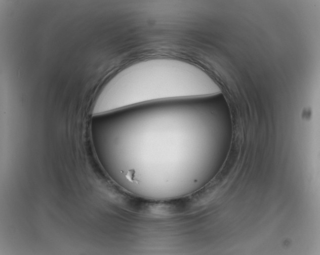 X0000096940268200802080905