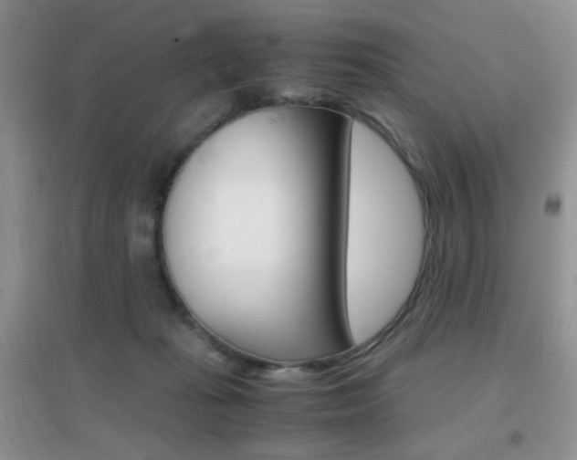 X0000096940269200802080905