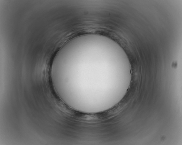 X0000096940275200802080905