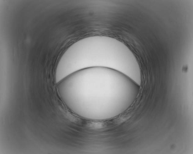 X0000096940276200802080905