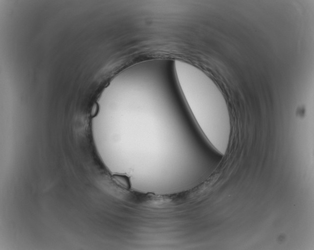 X0000096940278200802080905