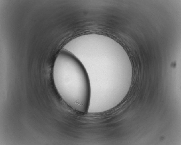 X0000096940279200802080905