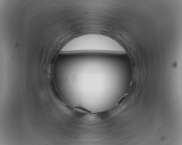 X0000096940280200802080905