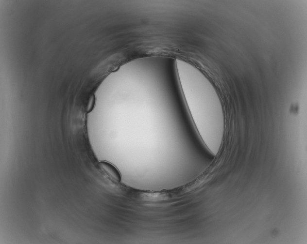 X0000096940281200802080905