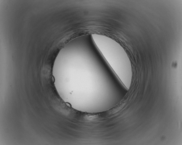 X0000096940283200802080905