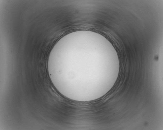 X0000096940284200802080905