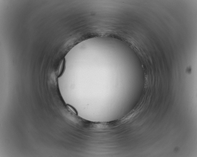 X0000096940286200802080905