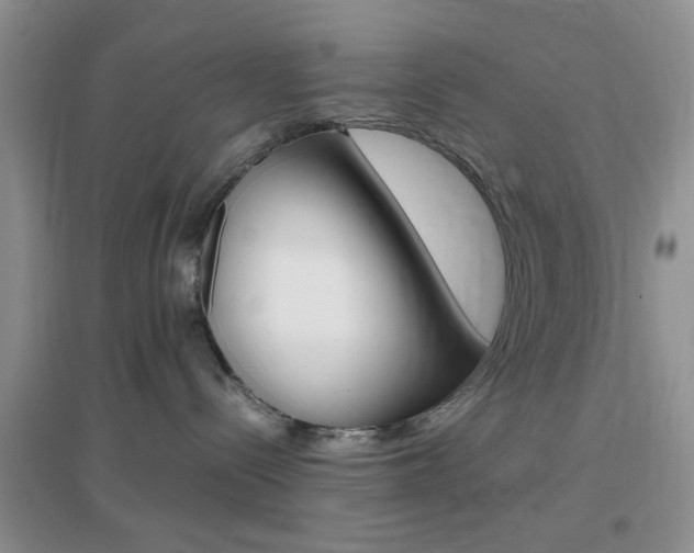 X0000096940288200802080905
