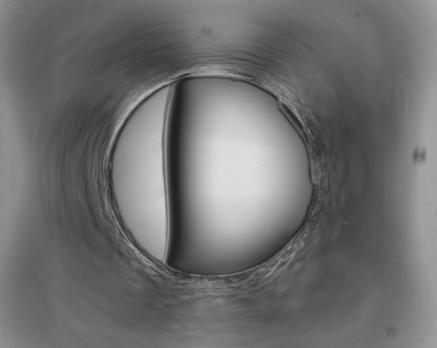 X0000096940289200802080904