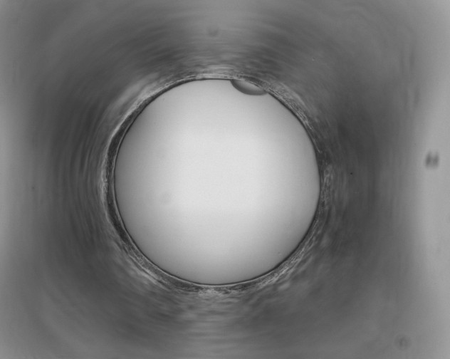 X0000096940290200802080904