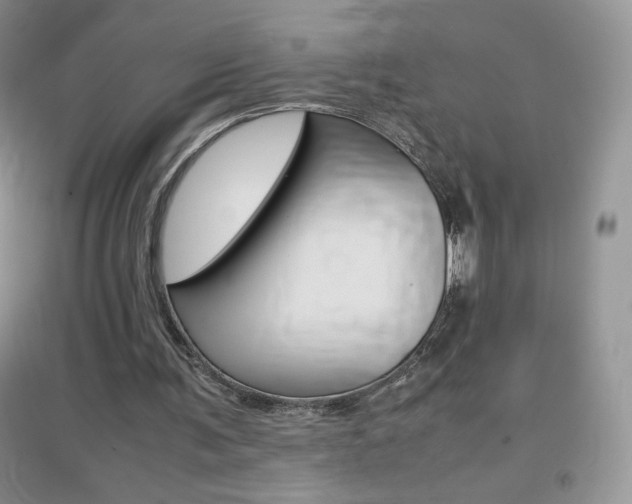 X0000096940291200802080904